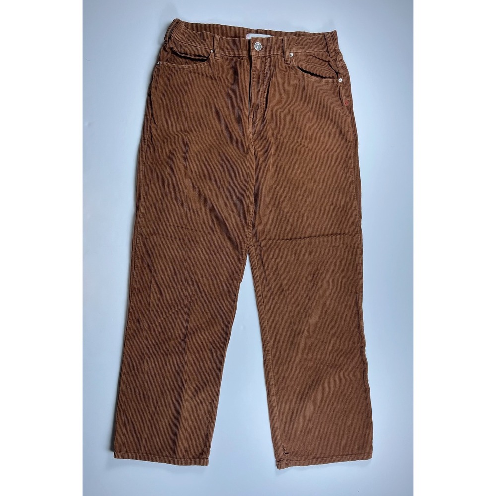 BDG Urban Outfitters Mens Brown Corduroy Baggy Wide Straight Leg Pants Size 32